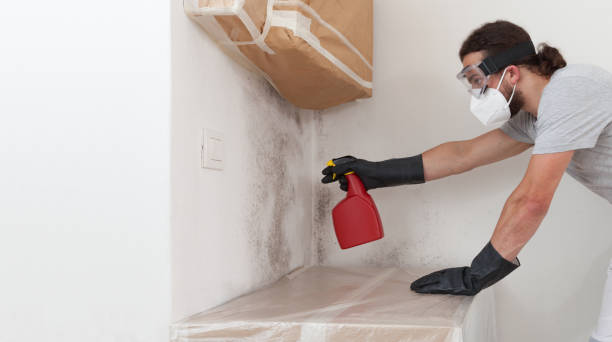 Professional Mold Removal technician working in Bernardsville, NJ