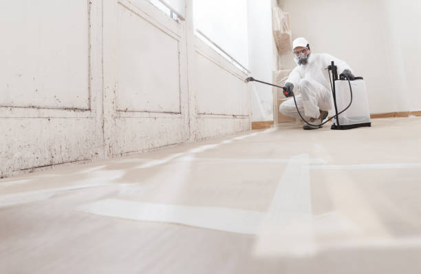24/7 Emergency Mold Removal experts in Bernardsville, NJ