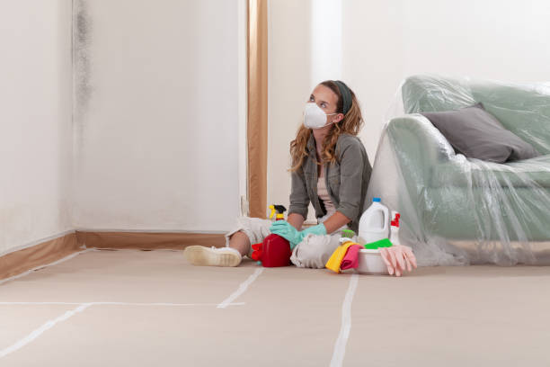 Reliable Mold Cleanup contractor in Bernardsville, NJ by Cheap Mold Removal